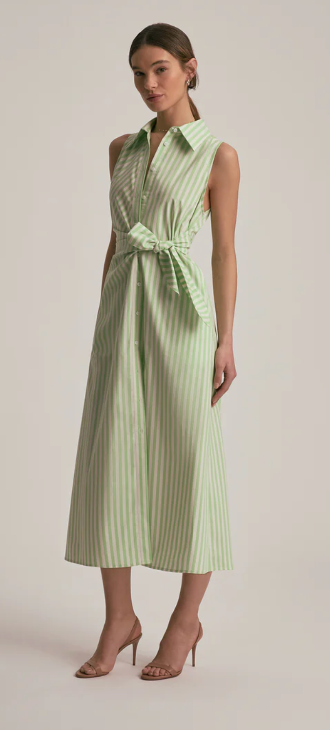 The Good Behavior Dress