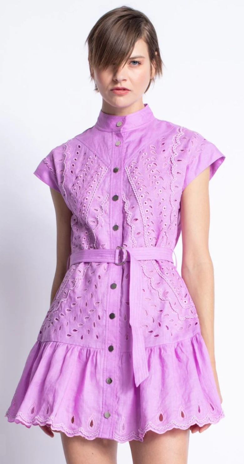 Aruba Embroidered Mini Dress