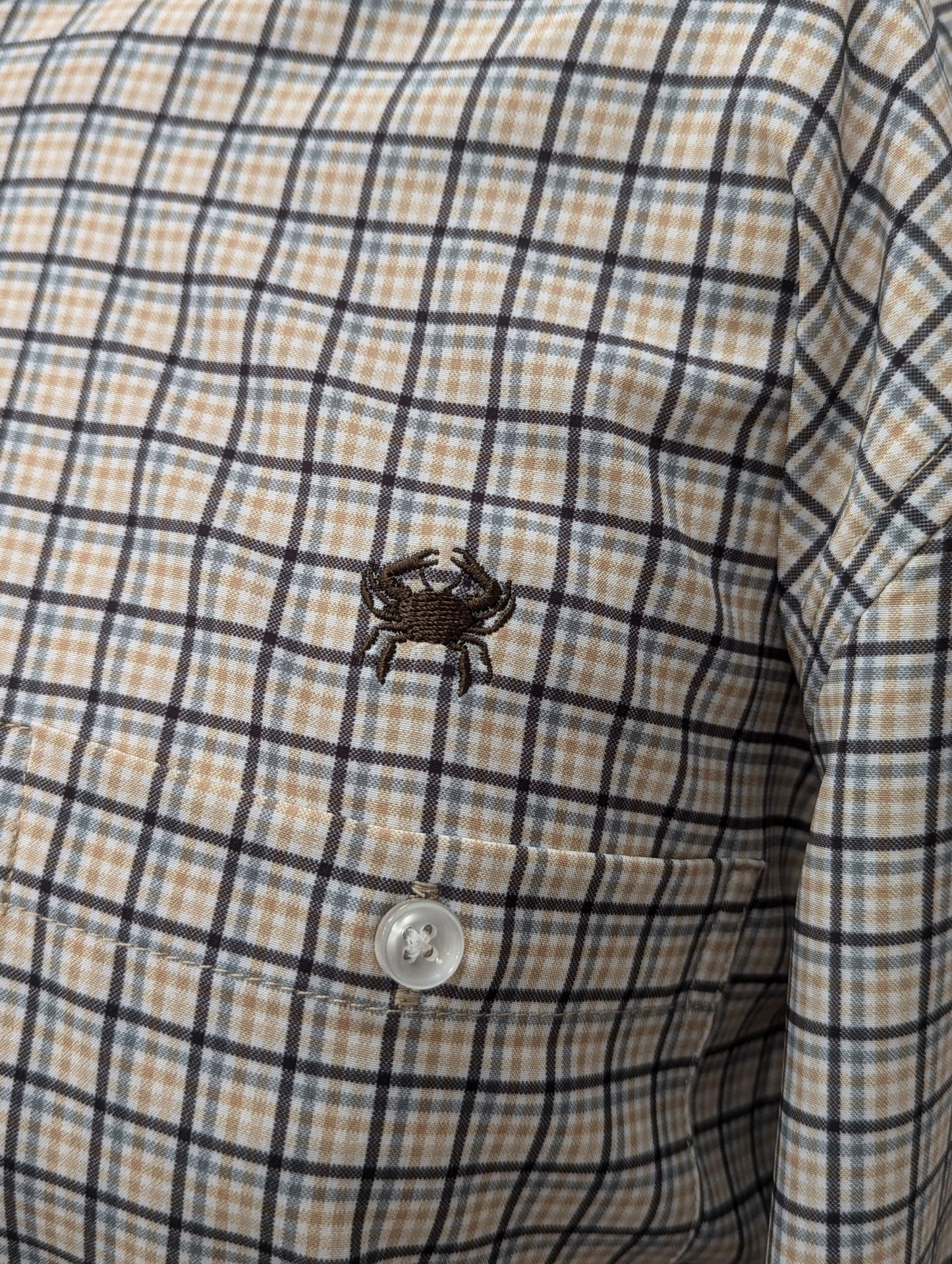 Jimmy Knows Button Down