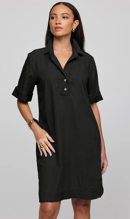 Aileen Short Sleeve Denim Dress