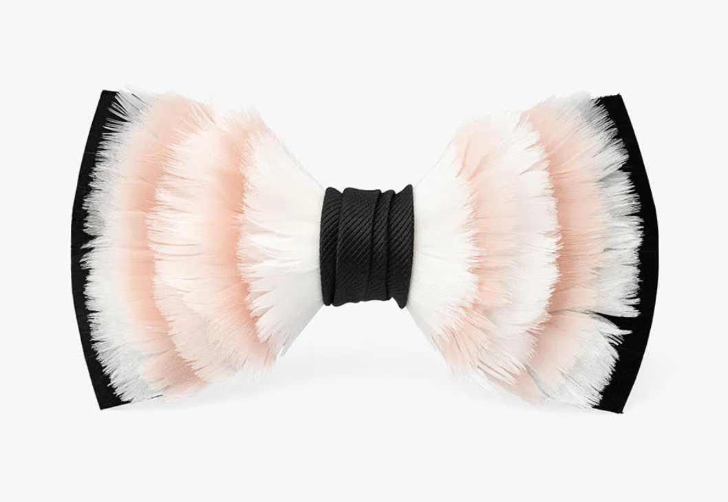 Bow Tie
