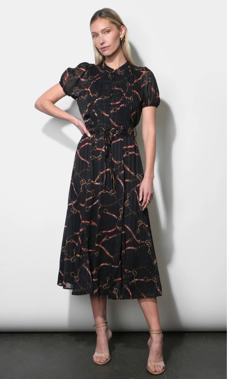 Greylin Rosa Dress