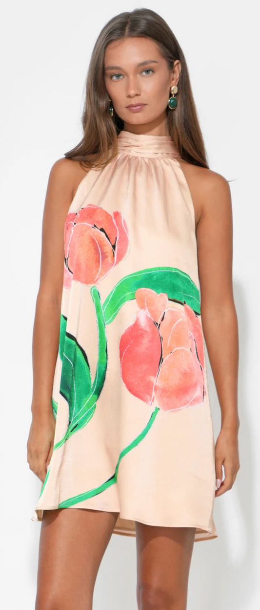 Eden Halter Neck Tie Large Floral Mini Dress in Floral Print