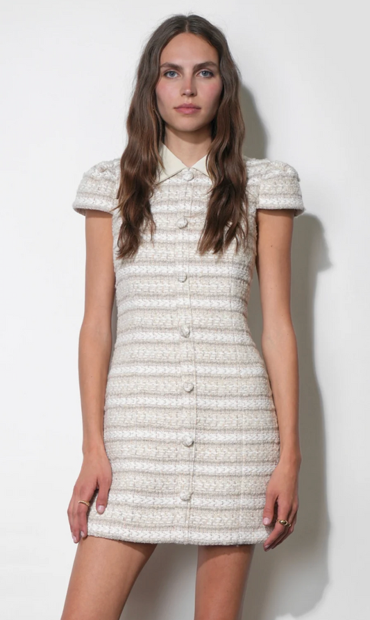 Greylin Tyler Dress
