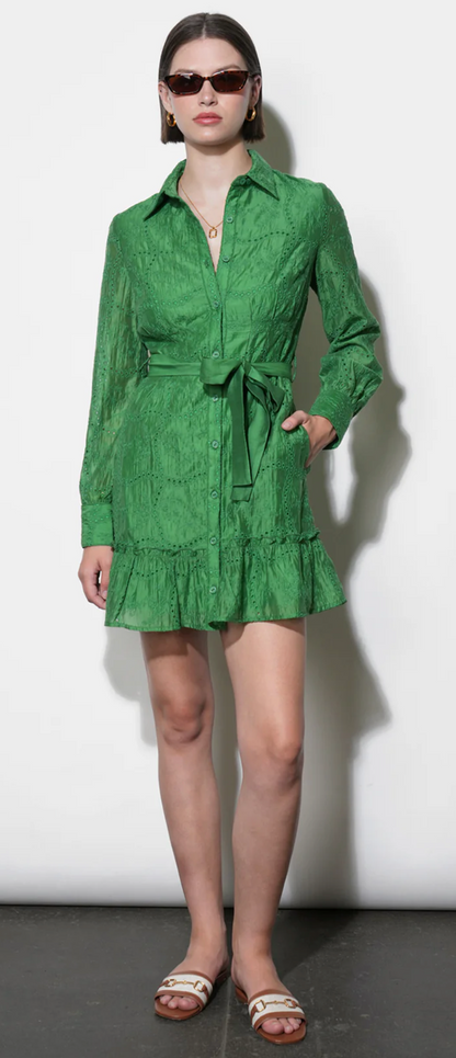 Tabitha Embroidered Cinched Waist Mini Dress in Retro Green
