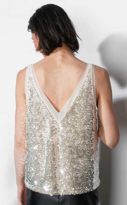 Ivy V-neck Velvet Sequin Top