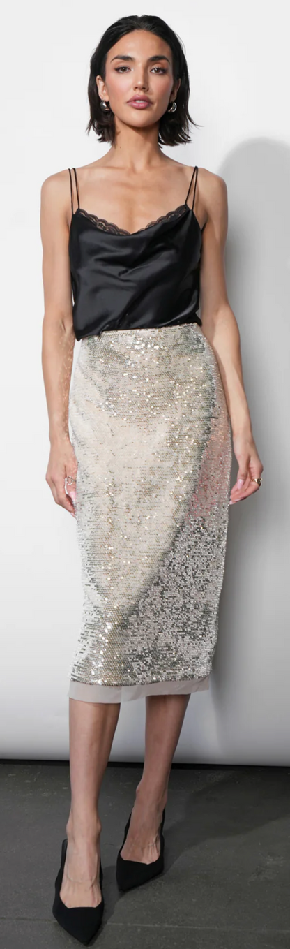 Gianna Velvet Sequin Midi Skirt