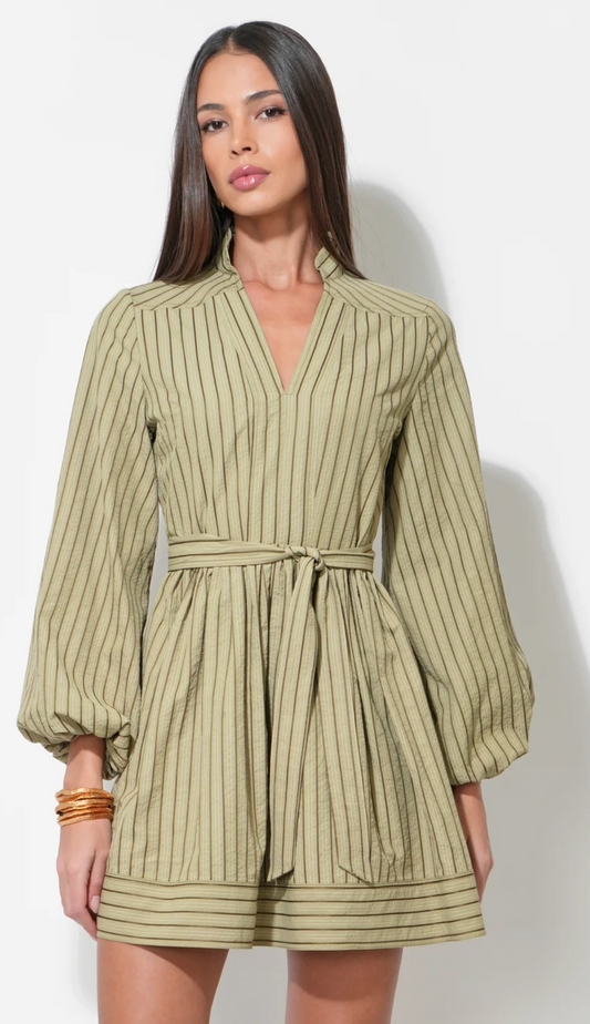 Marnie Embroidery Stripe Mini Dress