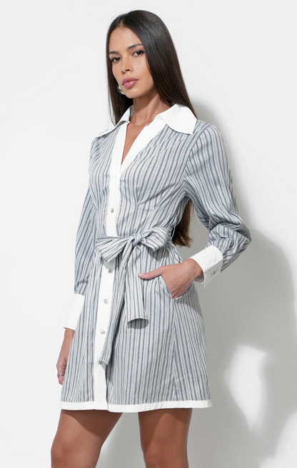 Sola Stripe Mini Button Up Shirt Dress