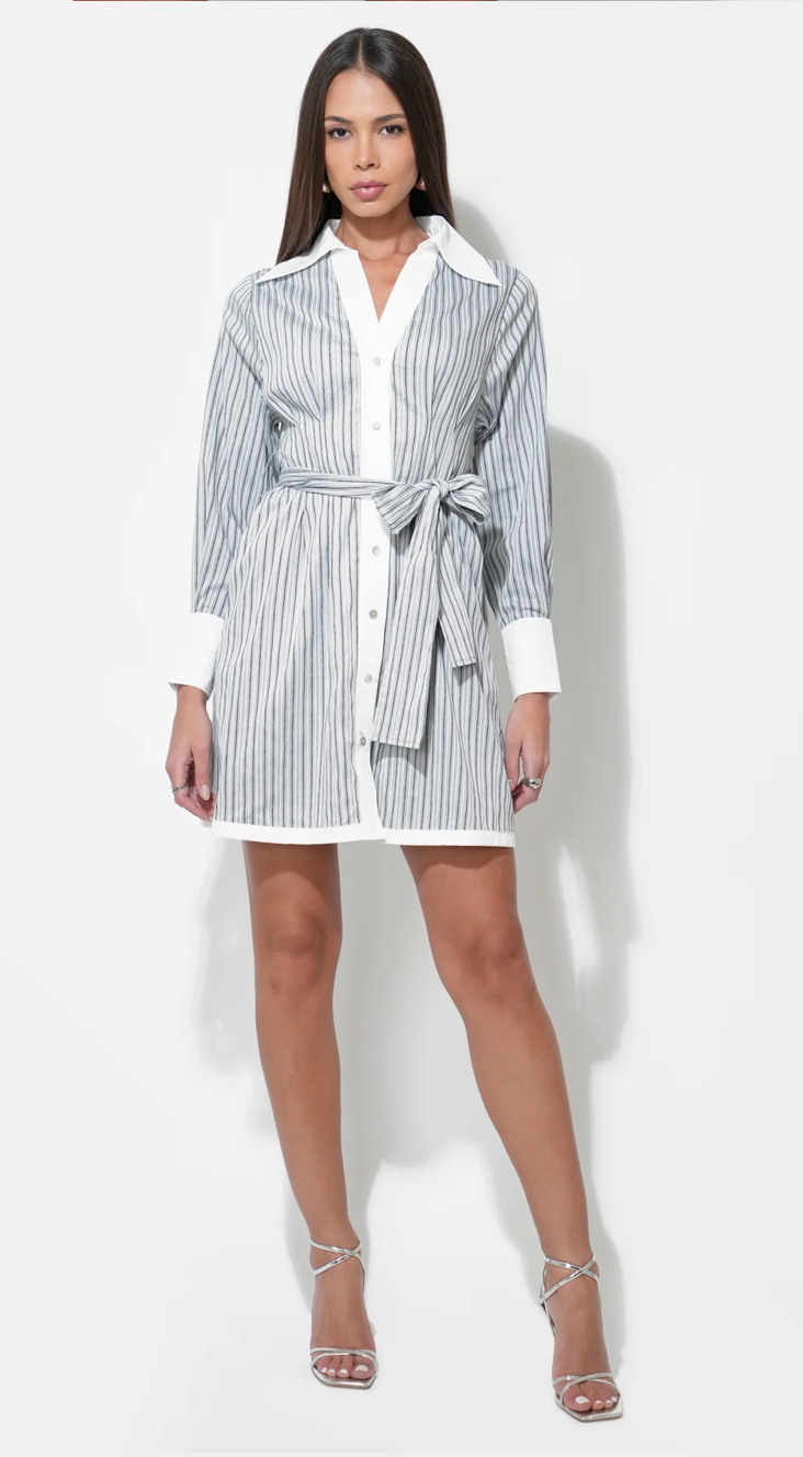 Sola Stripe Mini Button Up Shirt Dress