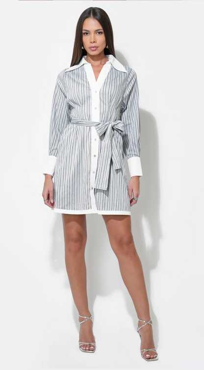 Sola Stripe Mini Button Up Shirt Dress