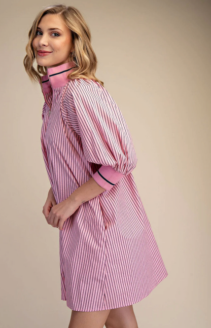 Gelato Mini Dress in Pink