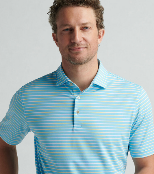 Dunnes Polo
