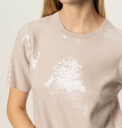 Sparkle Sequin Sweater