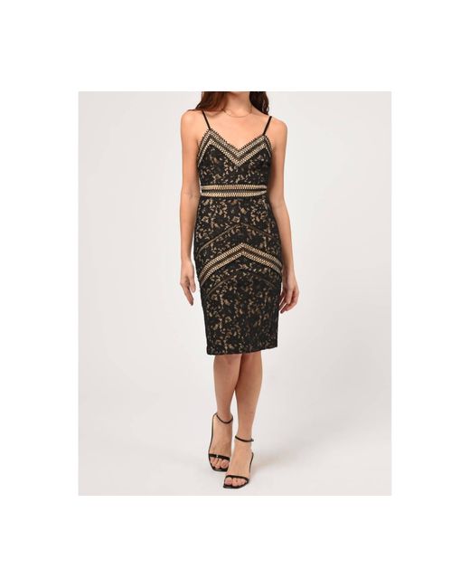 Trixxi Knit Lace Pencil Dress