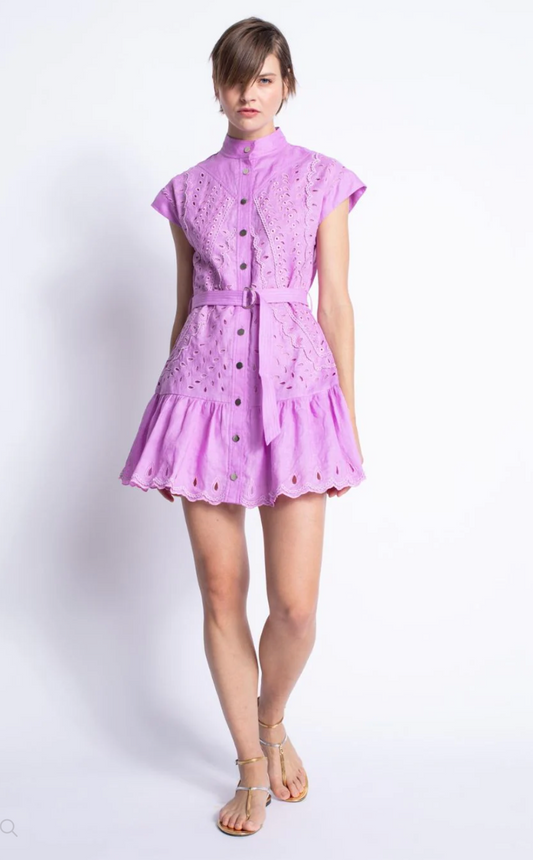 Aruba Embroidered Mini Dress